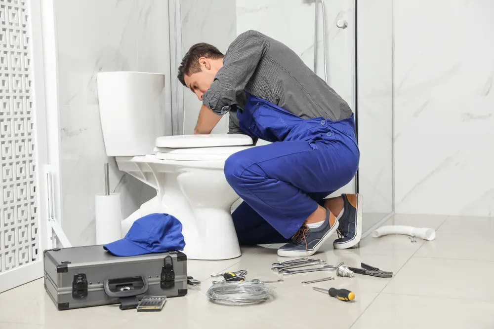 Toilet Installation in Naranja